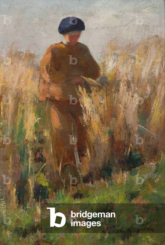 Immagine di Dipinto "Un contadino in un campo (olio su tela)" di Marie Lespinasse
