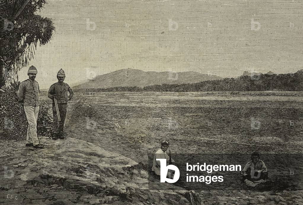 Image of Barka River, Second Battle of Agordat, Eritrea, engraving from a