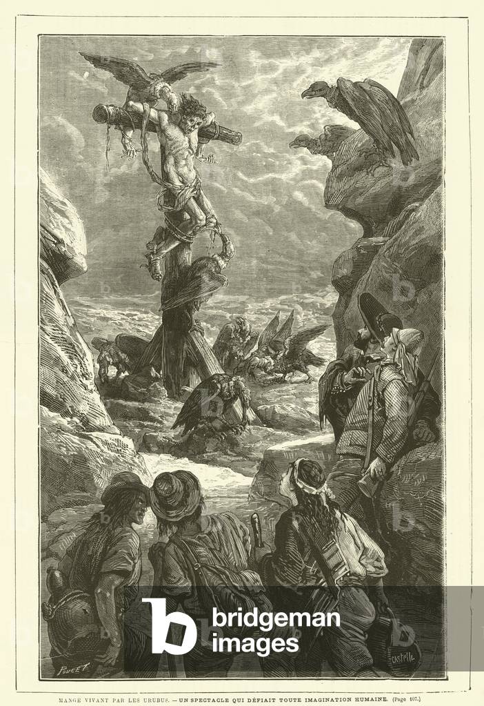 "Mange Vivant Par Les Urubus (incisione)" 1801 di French School, b/w