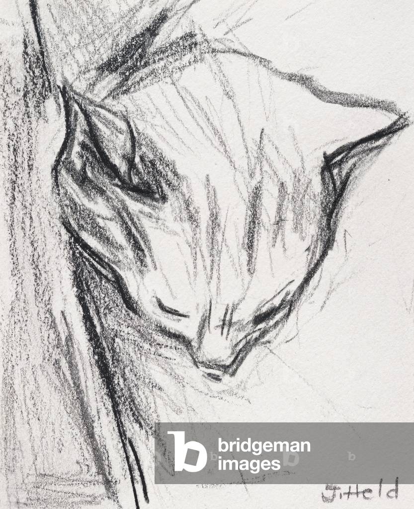 Image of Drawing depicting Sleeping Cat 2015 by Julie Held, b/w