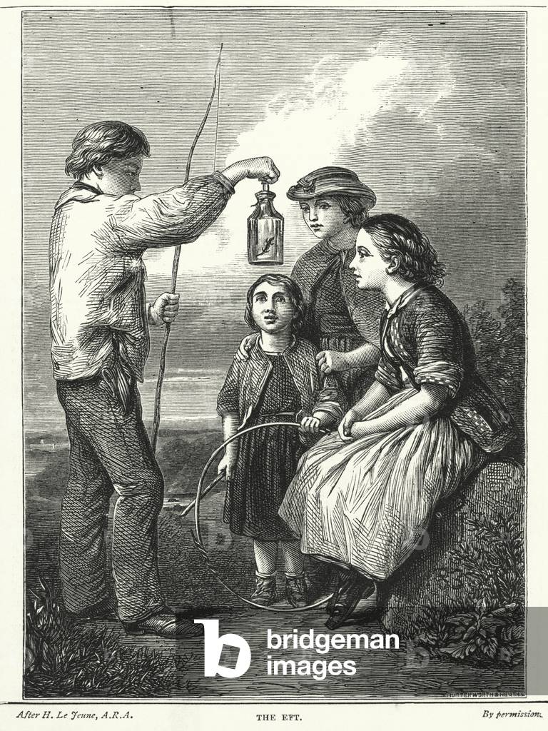 "The Eft (Gravur)" 1801 von Henry Le Jeune