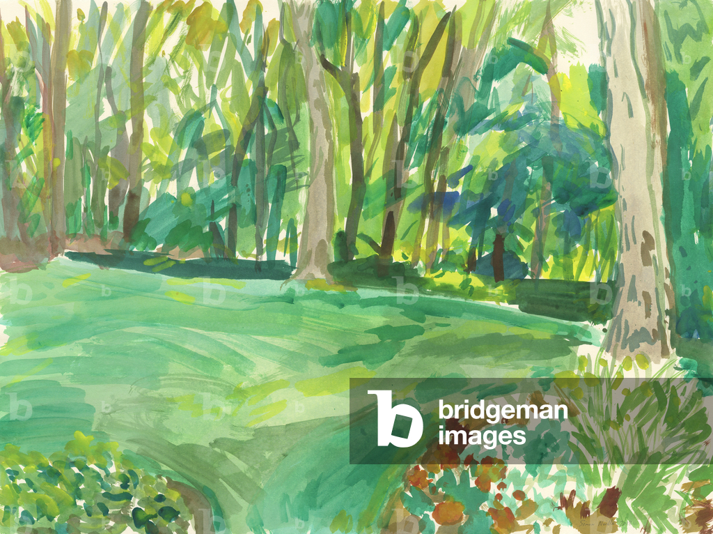 Garten und Feuchtgebiet, 2018 (Aquarell auf Papier)