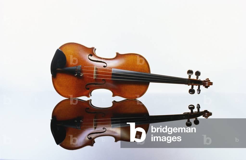 Violin - with reflecting