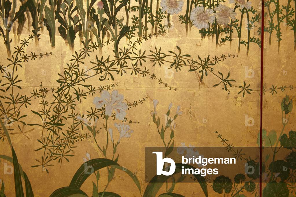 Image of Painting depicting Screen with spring and summer flowers 1701 by Watanabe Shiko