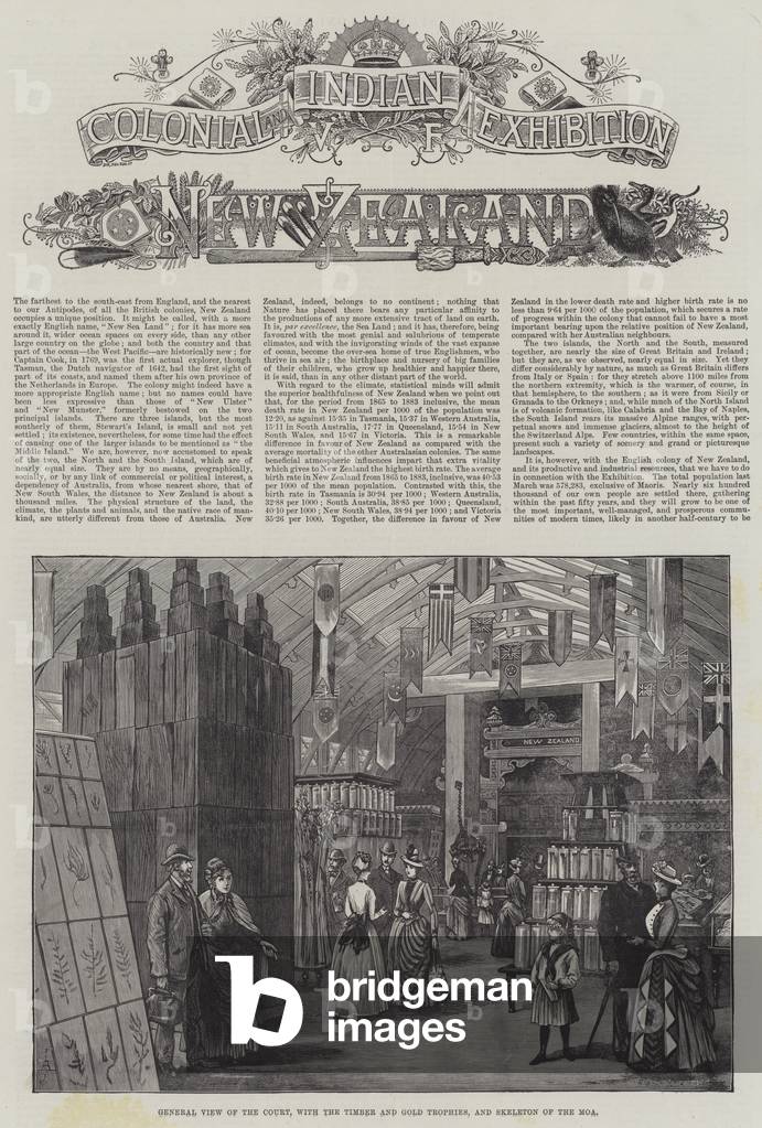 "Mostra coloniale e indiana" 1886 di English School