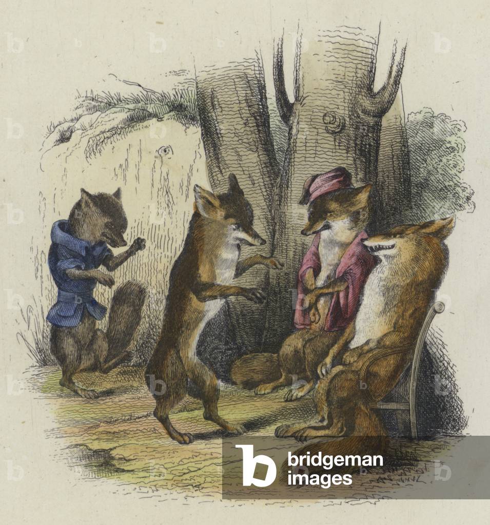 Immagine di Incisione "Le Renard Qui A La Coeue Coupee (incisione colorata)" 1801 di French School