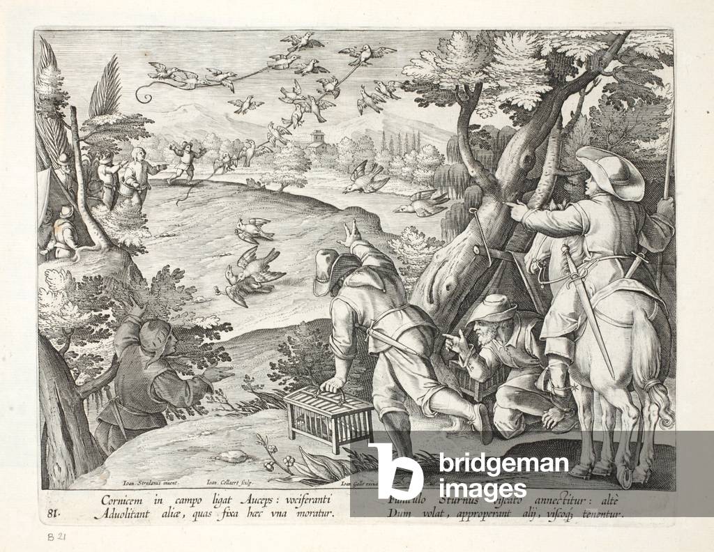 Vögel fangen Krähen, Illustration aus 'Venationes, Ferarum, Avium, Piscium' (Von Jagd: Wilde Tiere, Vögel, Fis