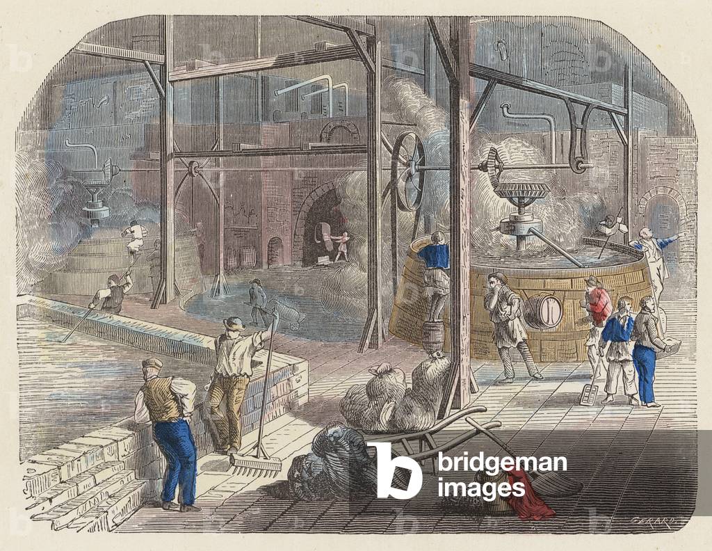 Produzione della birra (incisione colorata)