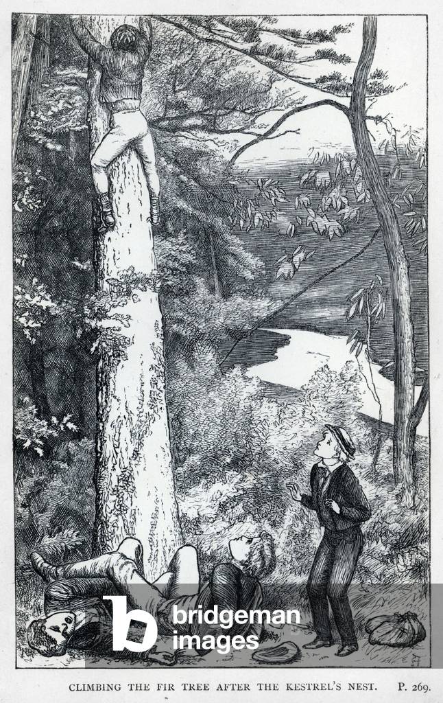 Abbildung zu Tom Browns Schulzeit (Gravur)