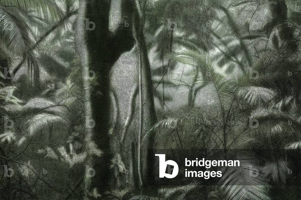 Un viaggio pittoresco attraverso il Brasile 46, 2015 (foto)