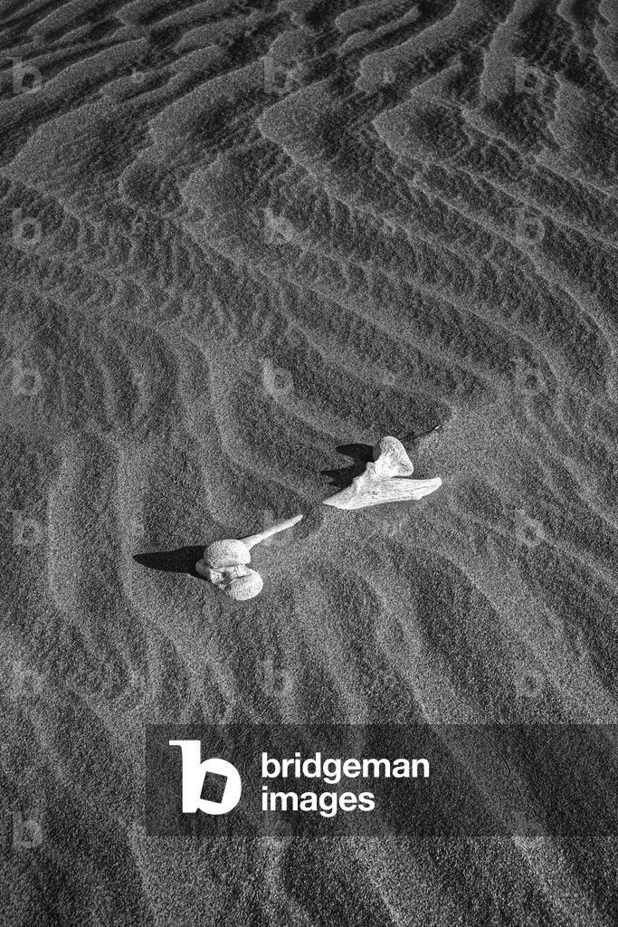 Quiet Ledger, 2021 (foto)