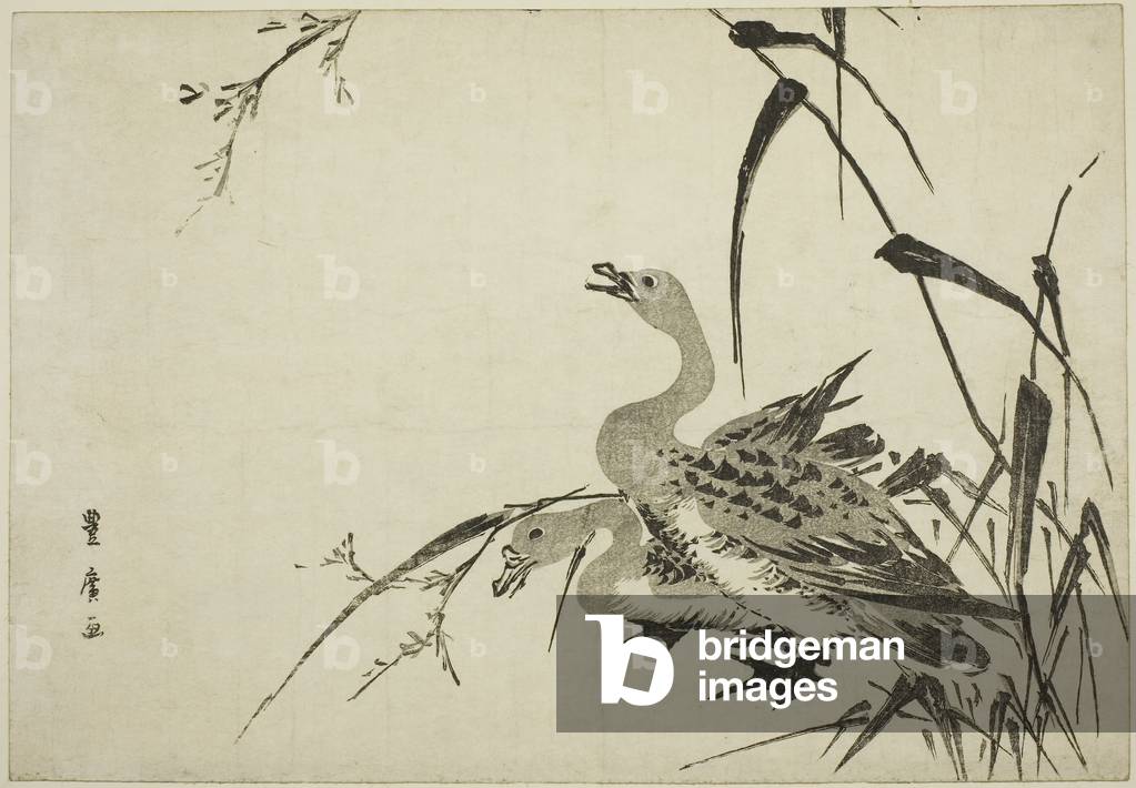 Image de Estampe représentant Oies sauvages et roseaux 1810 par Utagawa Toyohiro, b/w