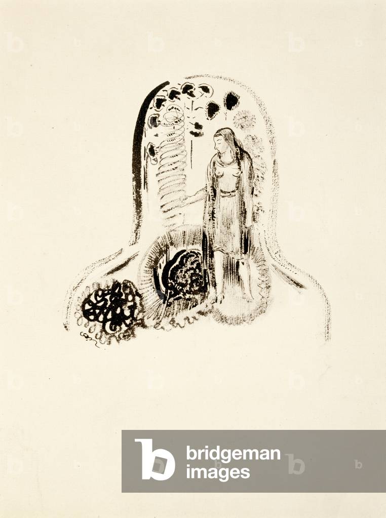 Jeune Fille dans un Jardin de Fleurs, 1896-1900 (litho)