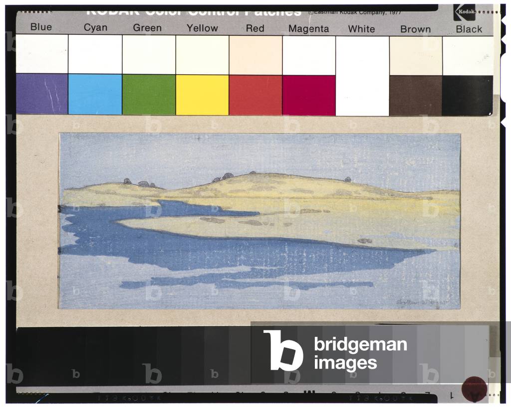 Le Paludi di Ipswich (xilografia)