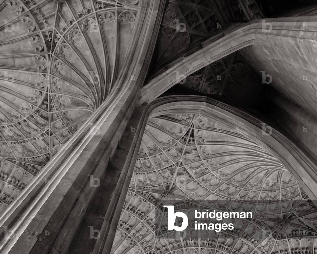 Vaulted Ceiling, 2020, (digital image)
