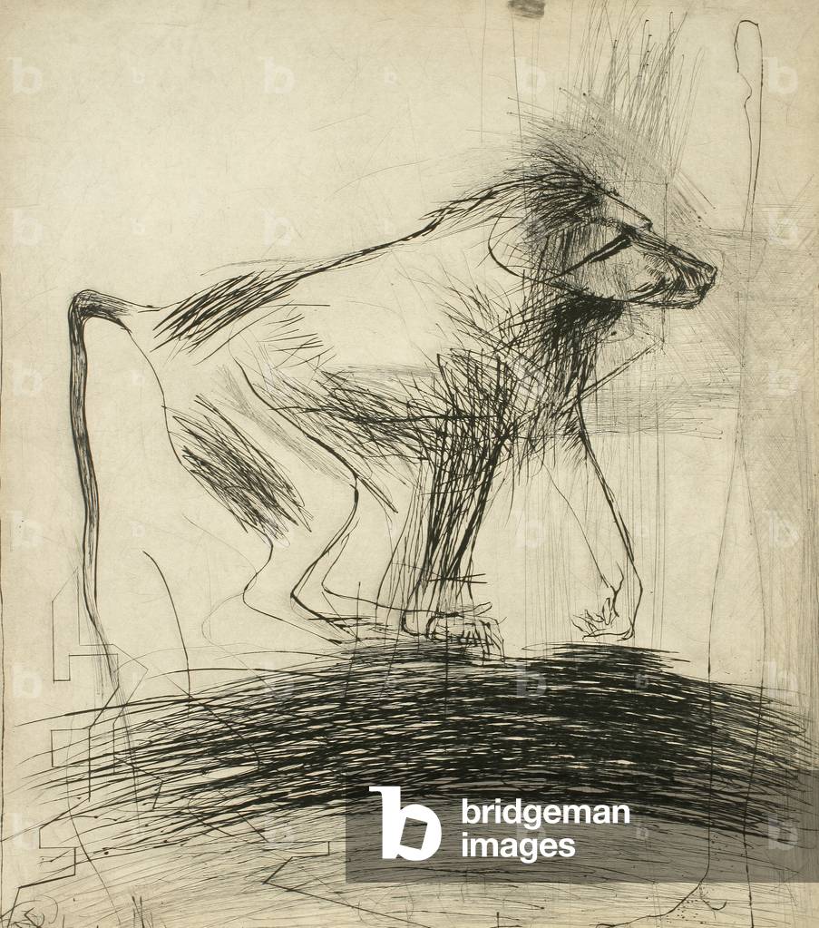 Baboon, 1994 (Trockenpunkt)