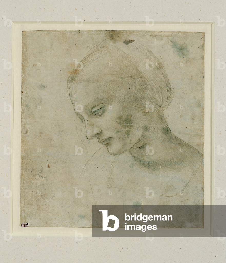 Bild von Zeichnung "Tete de femme presque de profil ..." von Leonardo da Vinci