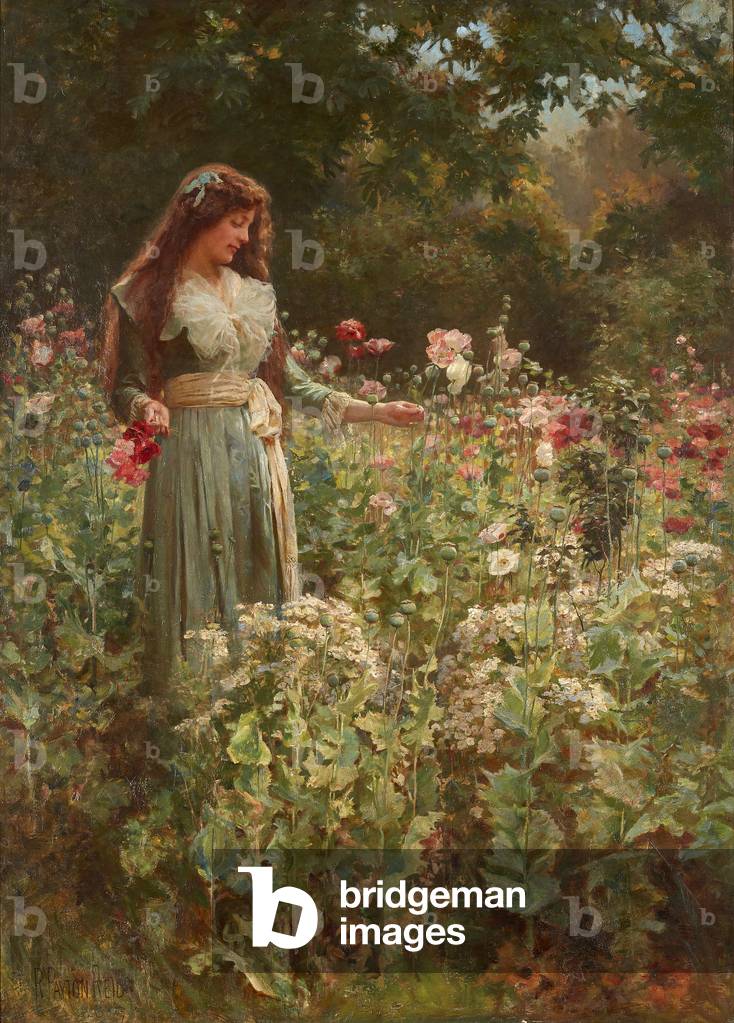 Sammeln von Mohnblumen (Öl auf Leinwand)