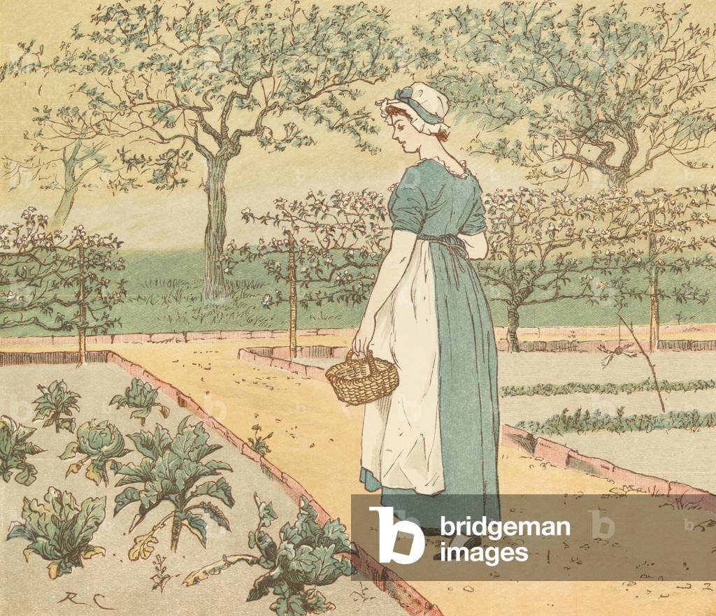 Der große Panjandrum selbst (Farbe litho)