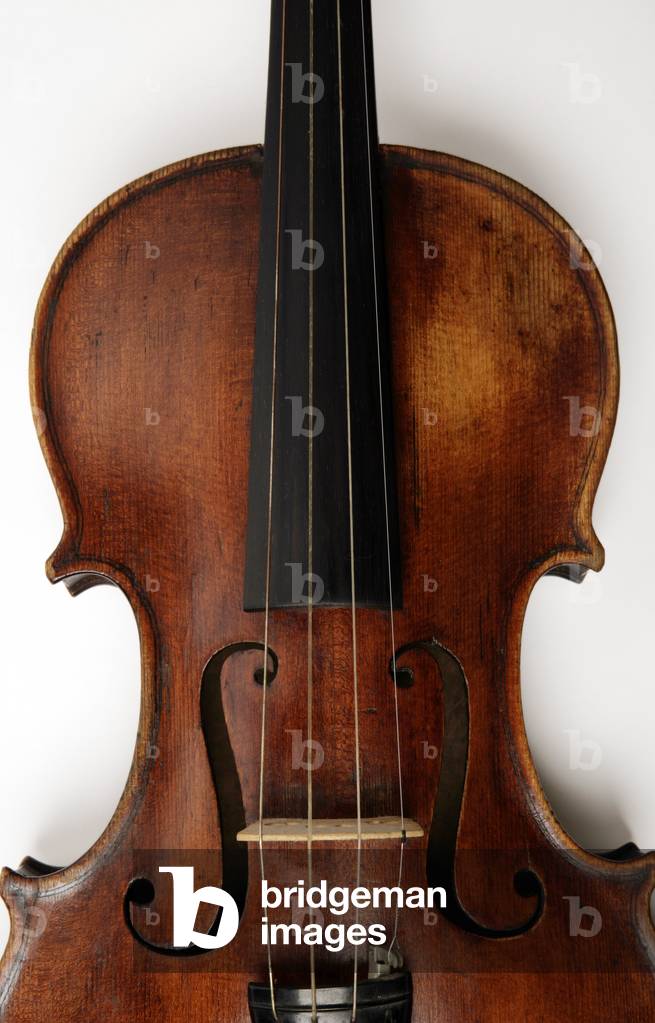 Bild von Fotografie "Viola" von Chris Stock, b/w