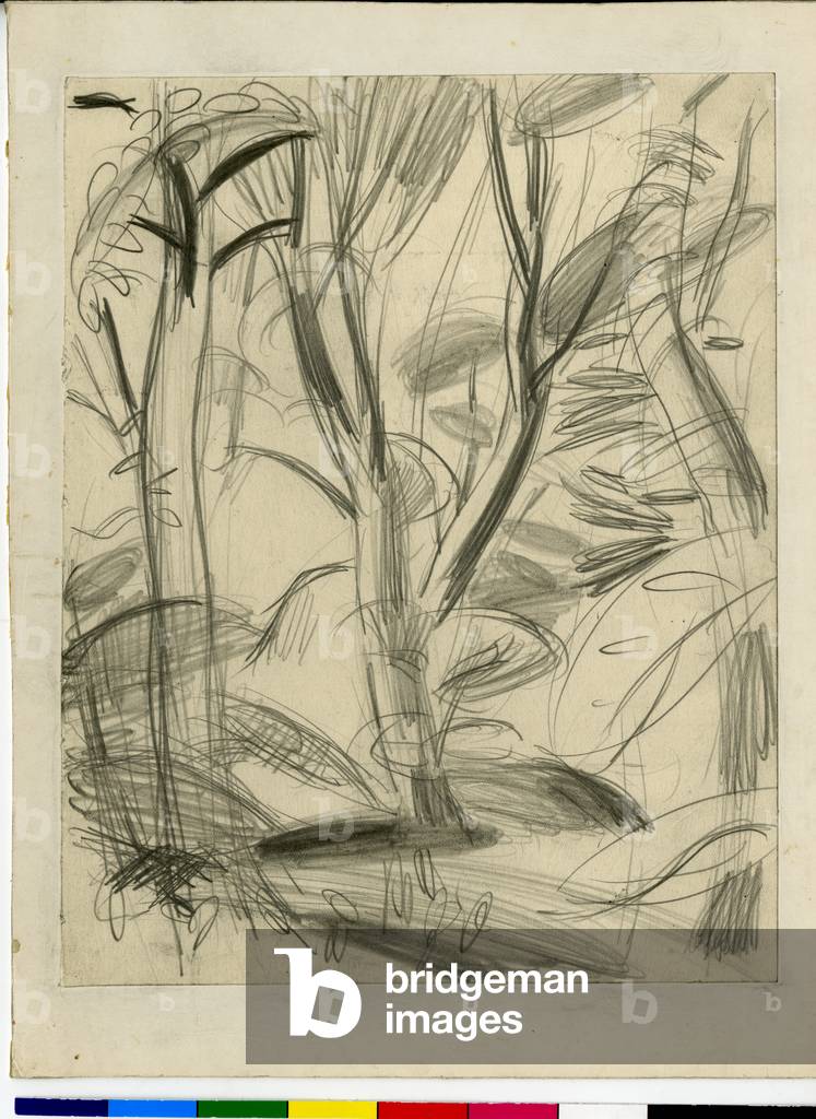 Tree Trunks - Skizze, c.1920-73 (Bleistift auf Papier)