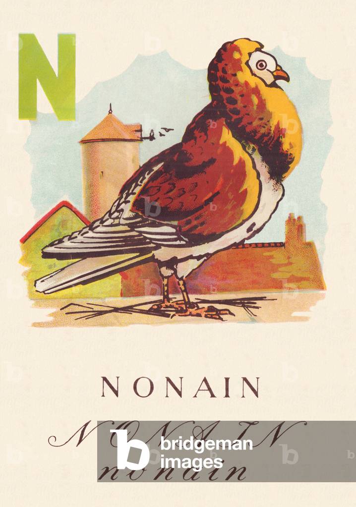 Immagine di Incisione "ABC Gli uccelli Nonain" 1945 di C. Hagues