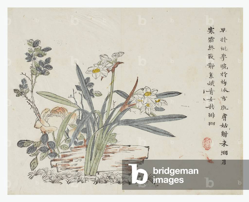 "Senape Seed Garden" 1796 di Chinese School