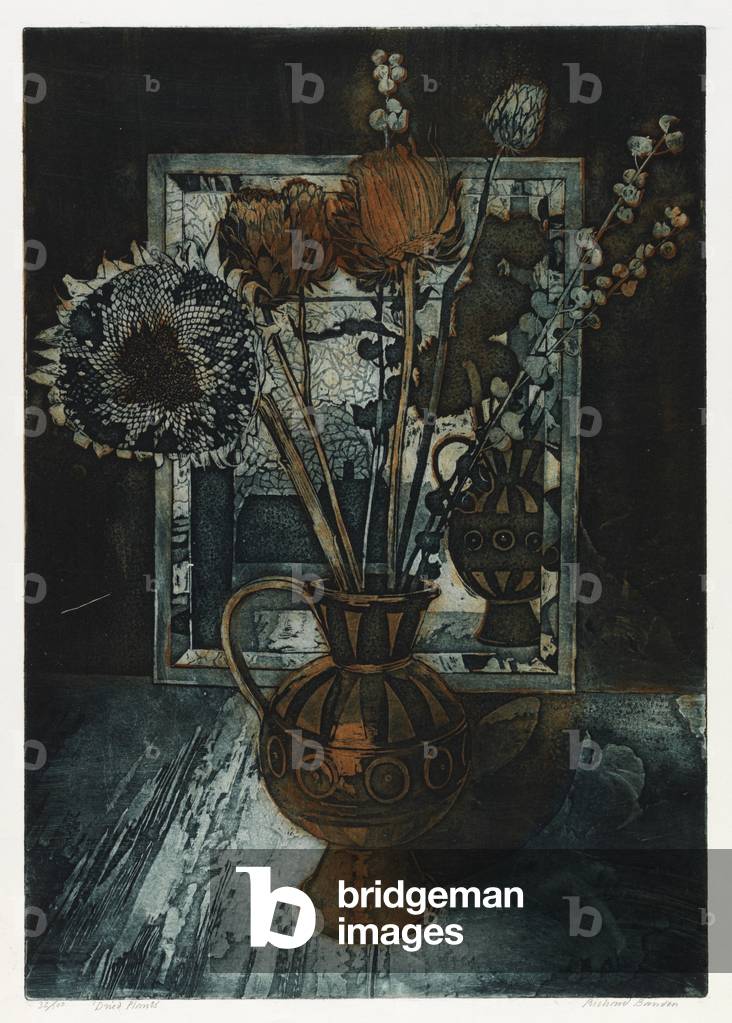 Piante essiccate (acquaforte)