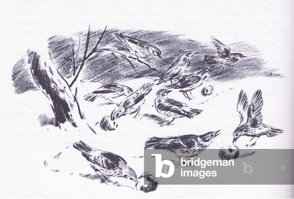 Immagine di Stampa "Fieldfares" di Eileen Alice Soper