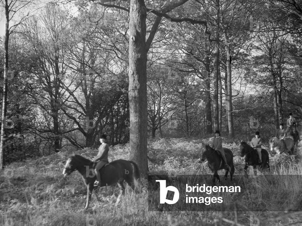 Immagine di Fotografia "Veduta di un gruppo di cavalieri che camminano tra boschi e sottobosco" 1930 di Joseph