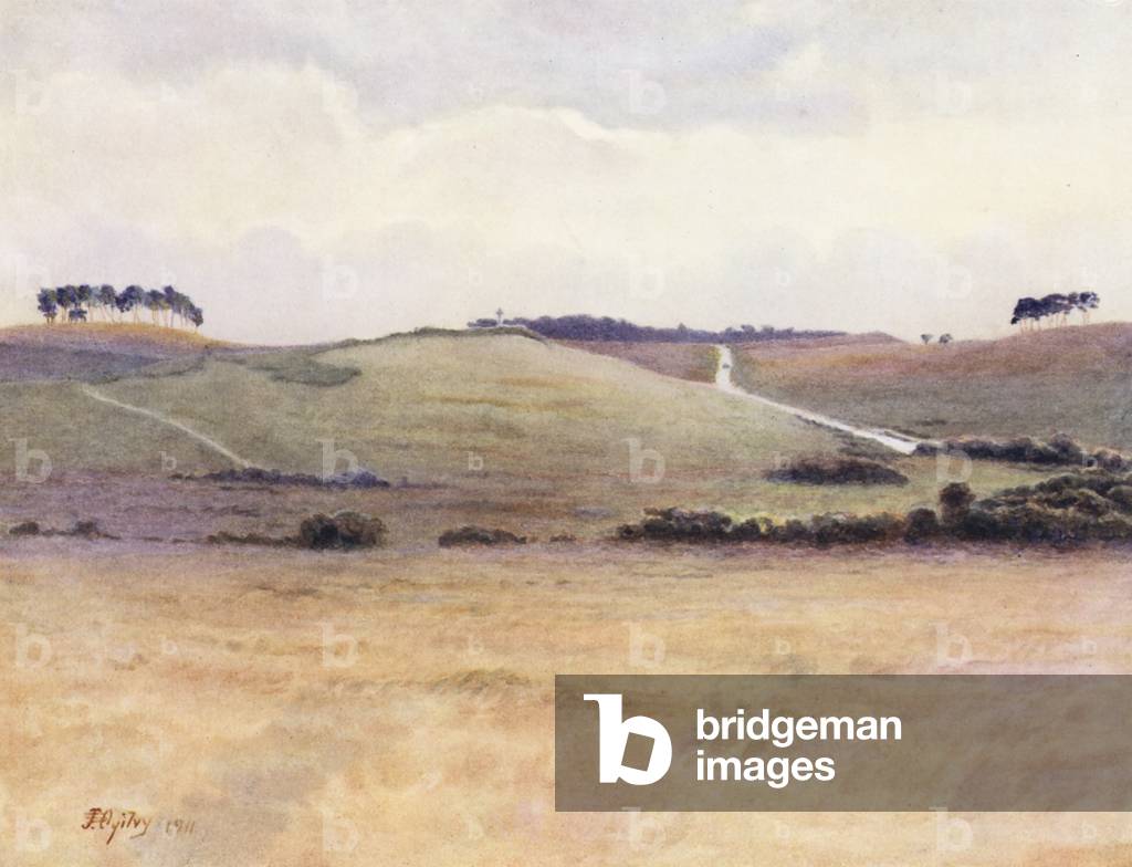 Immagine di Stampa "Surrey: Chobham Common (litografia a colori)" 1901 di James Spence Ogilvy