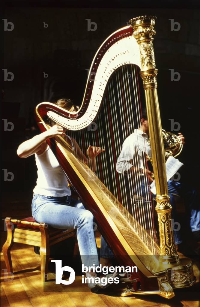 INSTRUMENT - CORDES -