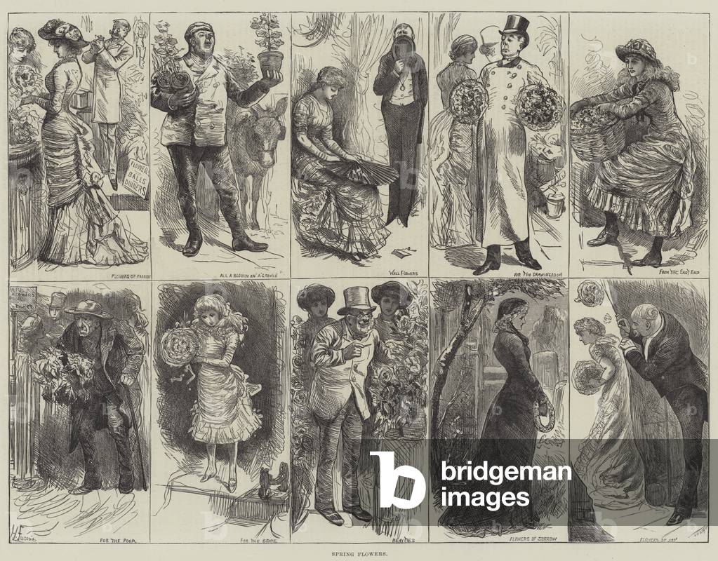 "Frühlingsblumen (Gravur)" 1883 von Harry Furniss, b/w