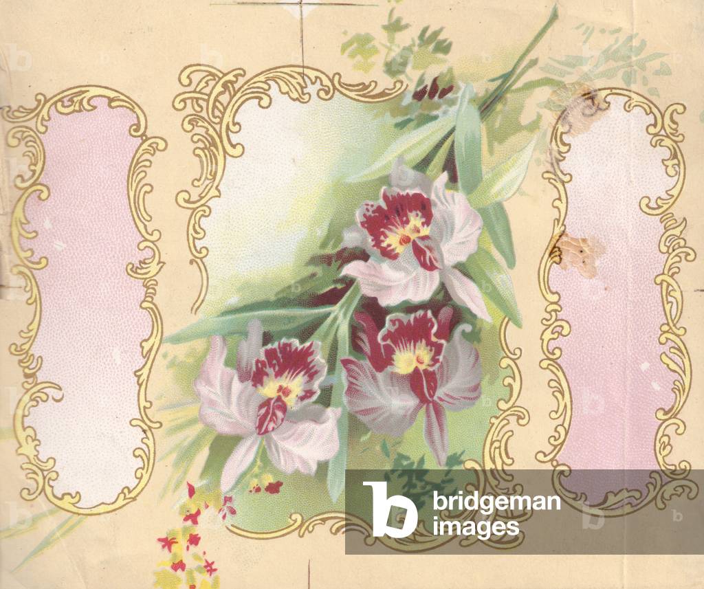 Image de Estampe représentant Label design, 1900s par Russian School