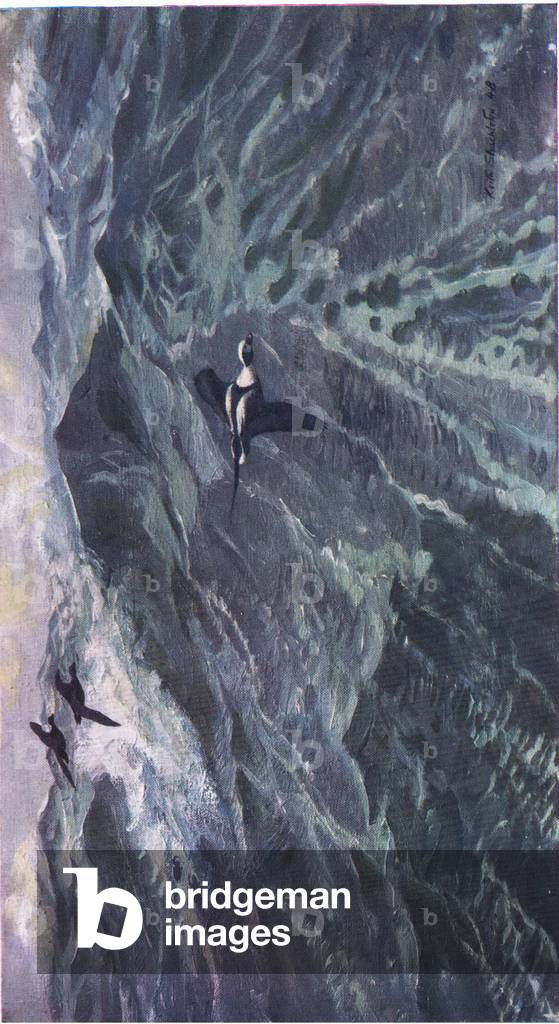 Der Sturm (Litho)