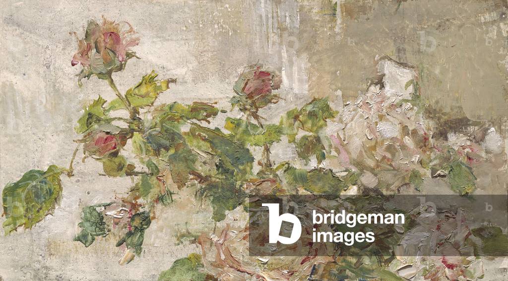 Gloire de Dijon, 2018 (Öl auf Holz)