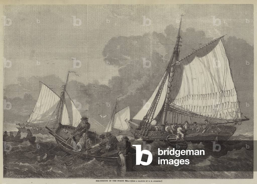 Cod-Fishing in the North Sea (engraving) by George Henry Andrews, b/w