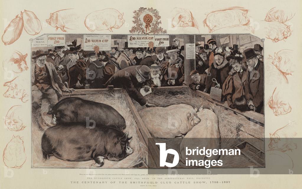 "il centenario del smithfield club bestiame mostra" di William Small