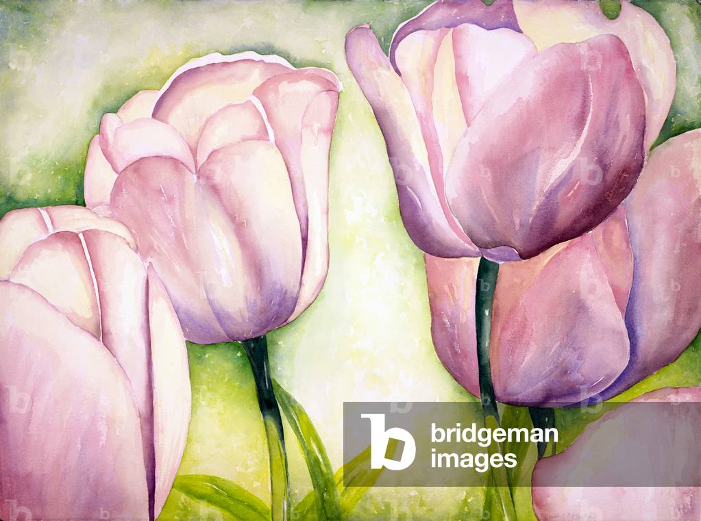 Lavender Tulips, 2006 (watercolor)