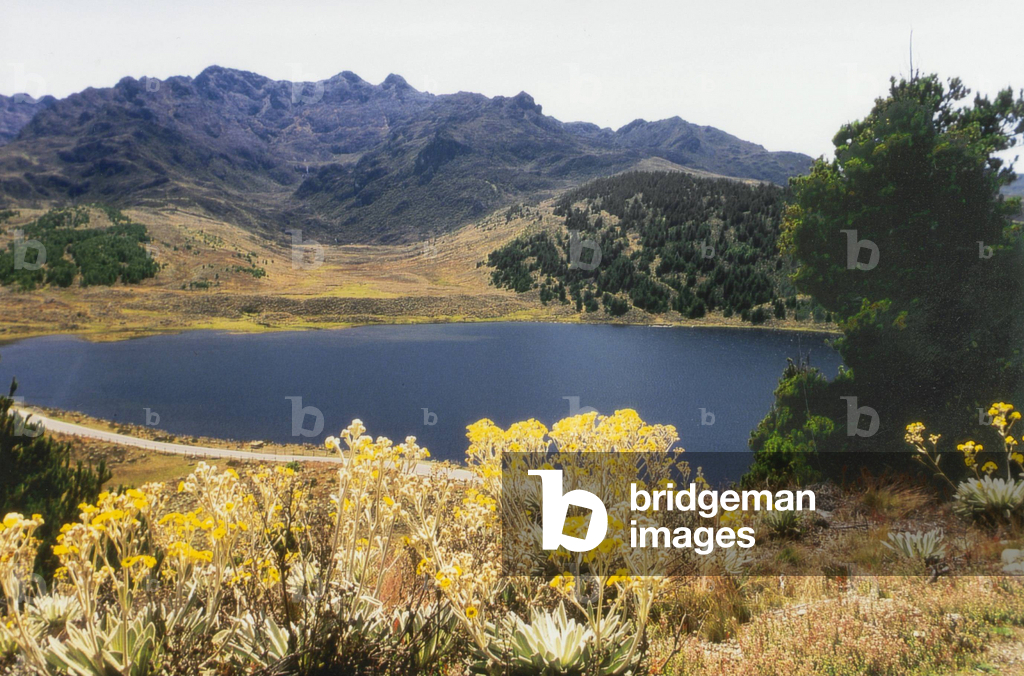 Image of Venezuela: Sierra Nevada National Park, 1999 (photo) by Ihlow