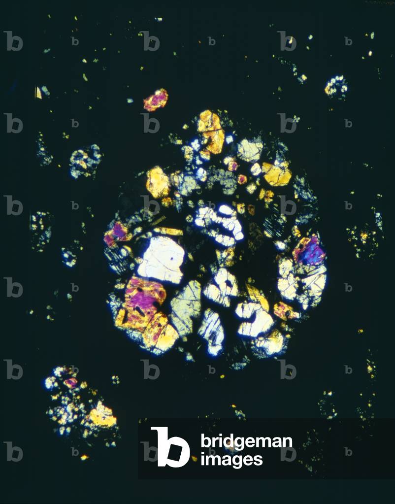 Fotomicrografo meteorite Bokkeveld freddo