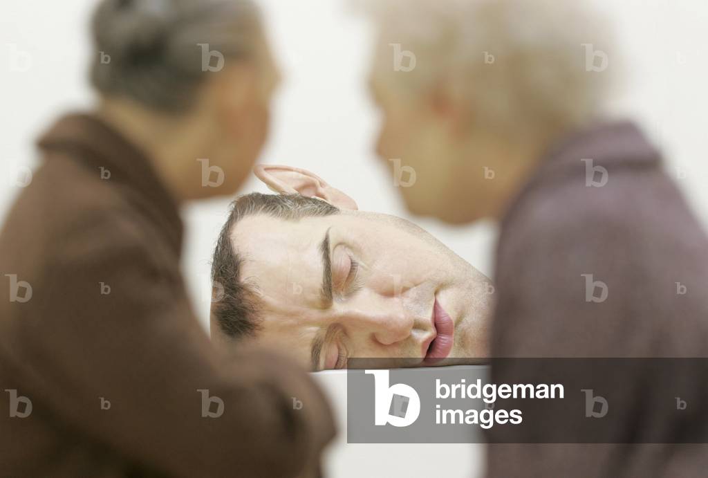 Image of Photography depicting Ron Mueck  - by Ron Mueck