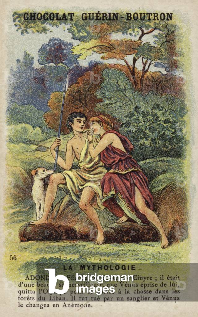 Adonis (Chromolitho)