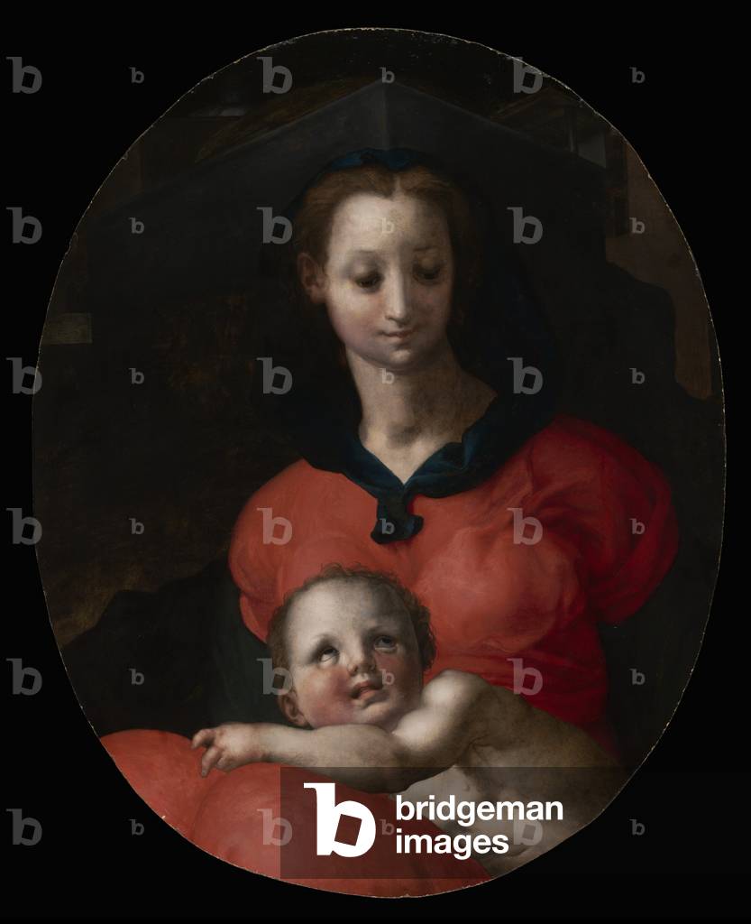 Virgin and Child, known as the Madonna del Libro, c.1545-46 (oil on panel)