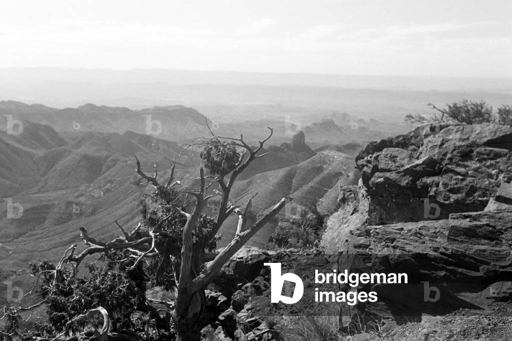 "Escursione attraverso il Big Bend National Park" 1964