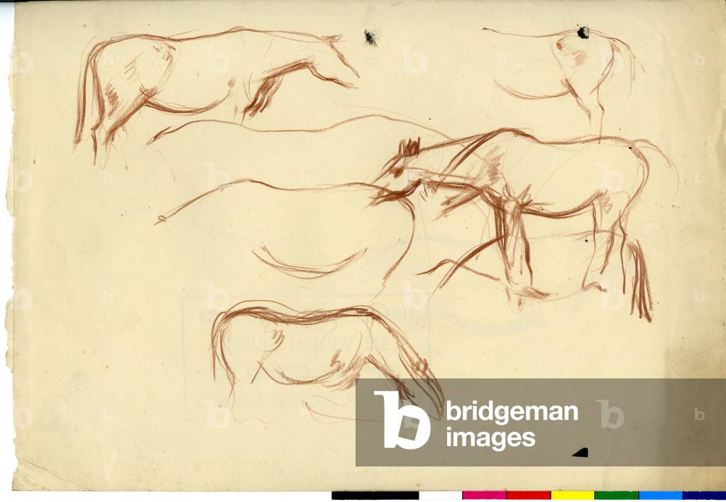 Image de Dessin représentant Horse Sketches 1920 par William George Gillies