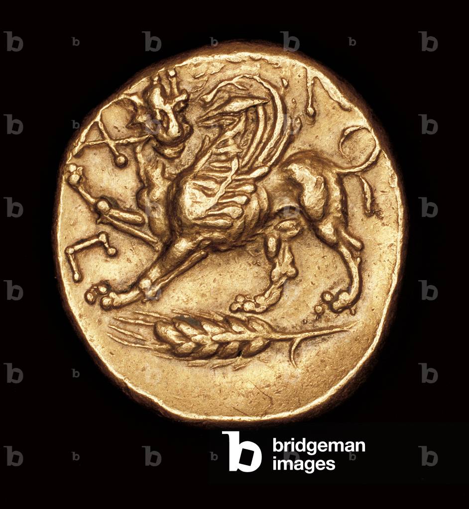 Rare Ancient Greek Coin, Gold Masterpiece, reverse, Griphon on an ear of corn, c 350 BC (photo)