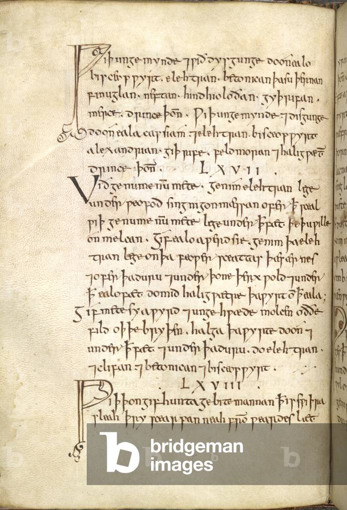 Page of text.