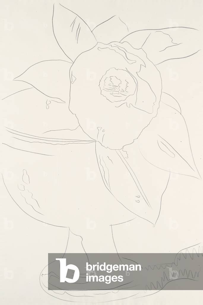 Fiore (# 1-8), 1975 (grafite su carta) (vedi anche 780227-33)