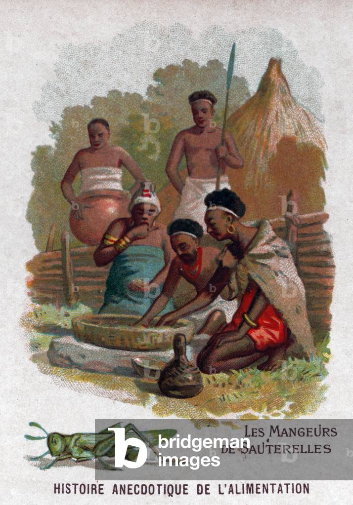 Grashüpfer essen, um 1910 (Druck)